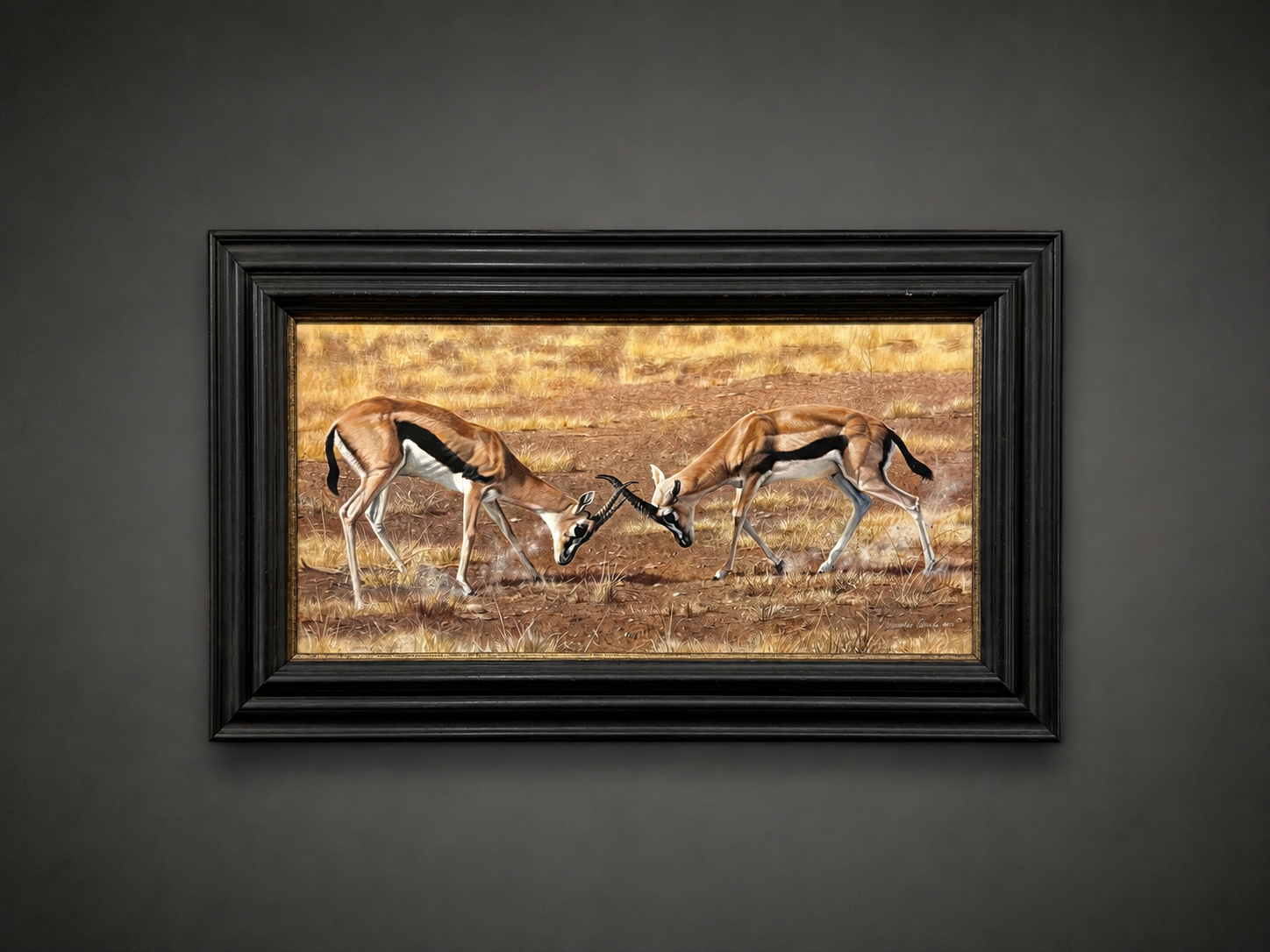 Thompson Gazelles by Matthew Hillier